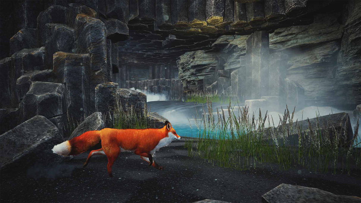 Spirit of the North - Enhanced Edition - PlayStation 5 - Video Games by Merge Games The Chelsea Gamer