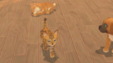 My Universe: Puppies and Kittens - Video Games by Maximum Games Ltd (UK Stock Account) The Chelsea Gamer
