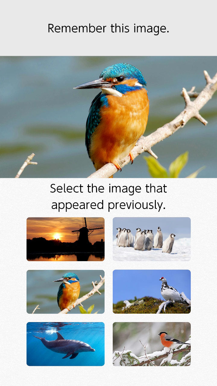 Dr Kawashima's Brain Training - Video Games by Nintendo The Chelsea Gamer