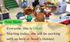 Animal Crossing: Happy Home Designer - Nintendo 3DS - Video Games by Nintendo The Chelsea Gamer