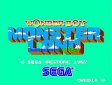 Wonder Boy Collection - Nintendo Switch - Video Games by United Games The Chelsea Gamer