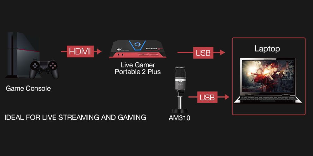 AVermedia USB Microphone AM310 - Core Components by AverMedia The Chelsea Gamer