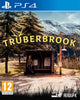 Trüberbrook - Video Games by Merge Games The Chelsea Gamer