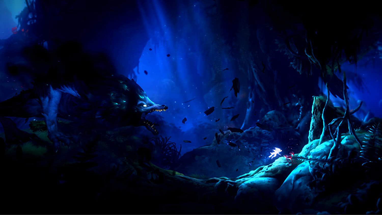 Ori And The Will Of The Wisps - Nintendo Switch - Video Games by Skybound Games The Chelsea Gamer
