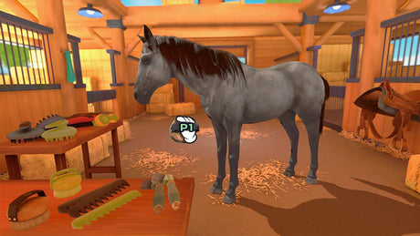 Equestrian Training - Nintendo Switch - Video Games by Maximum Games Ltd (UK Stock Account) The Chelsea Gamer