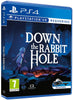 Down the Rabbit Hole - Video Games by Perpetual Europe The Chelsea Gamer