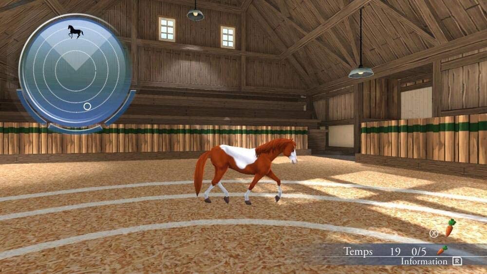 My Riding Stables 2 - Nintendo Switch - Video Games by Mindscape The Chelsea Gamer