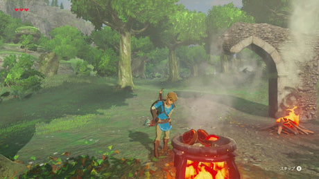 The Legend of Zelda - Breath of the Wild - Nintendo Switch - Video Games by Nintendo The Chelsea Gamer