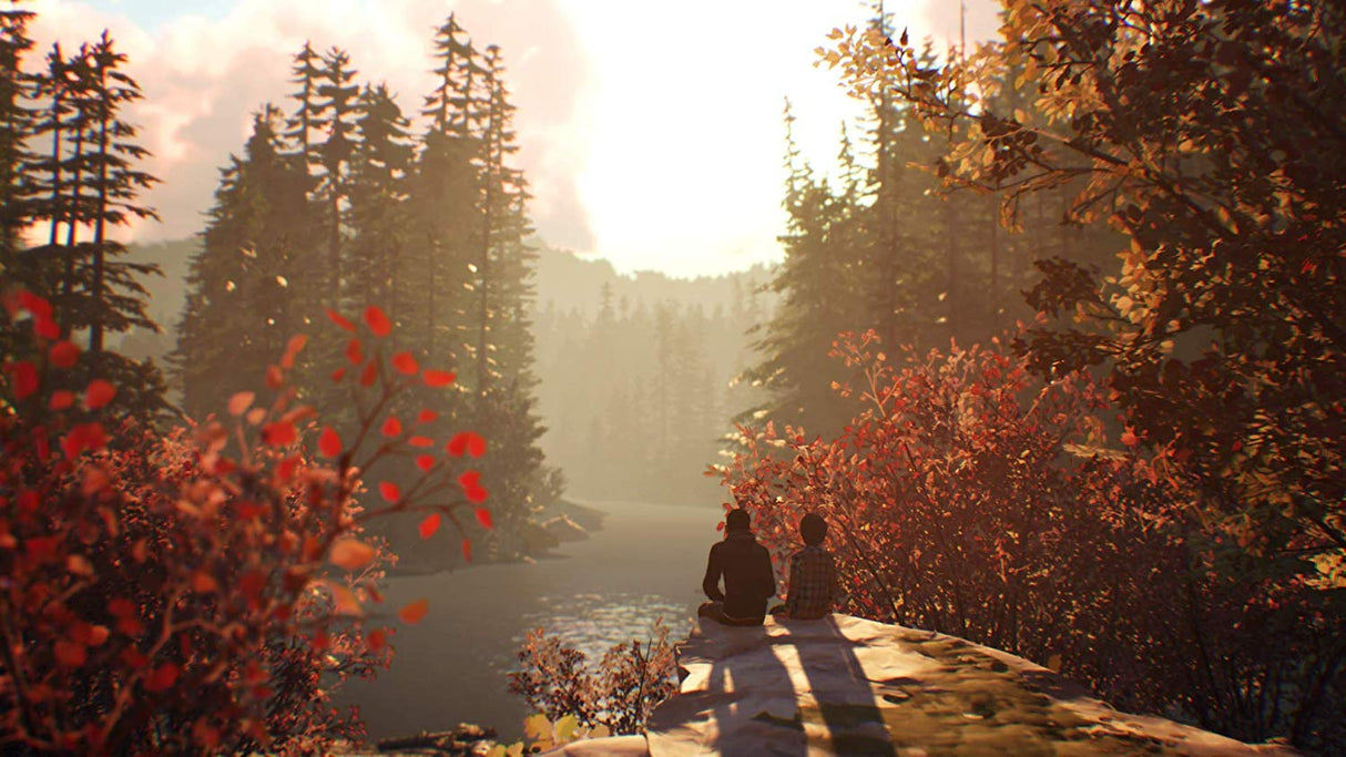 Life is Strange 2 - Video Games by Square Enix The Chelsea Gamer