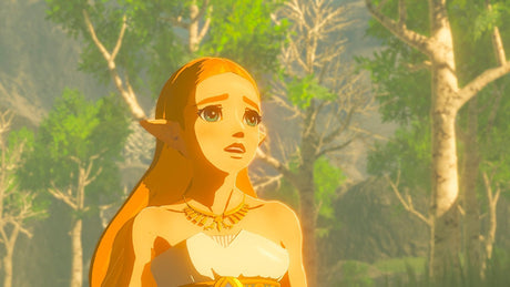 The Legend of Zelda - Breath of the Wild - Nintendo Switch - Video Games by Nintendo The Chelsea Gamer