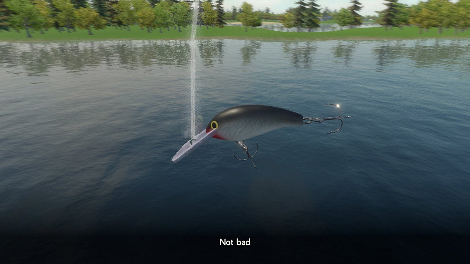 Rapala Fishing Pro Series - PS4 - Video Games by Maximum Games Ltd (UK Stock Account) The Chelsea Gamer