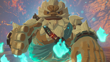 The Legend of Zelda - Breath of the Wild - Nintendo Switch - Video Games by Nintendo The Chelsea Gamer