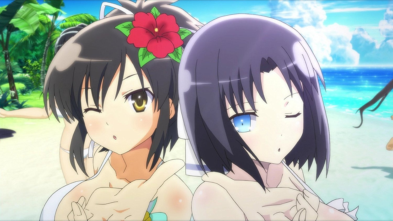 Senran Kagura Peach Beach Splash - PS4 - Video Games by pqube The Chelsea Gamer