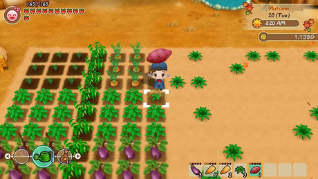 Story of Seasons: Friends of Mineral Town - PlayStation 4 - Video Games by U&I The Chelsea Gamer