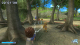 Go Vacation - Video Games by Nintendo The Chelsea Gamer