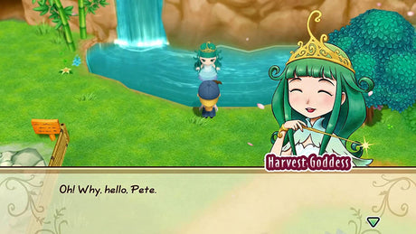 Story of Seasons: Friends of Mineral Town - PlayStation 4 - Video Games by U&I The Chelsea Gamer
