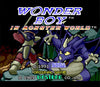 Wonder Boy Collection - Nintendo Switch - Video Games by United Games The Chelsea Gamer