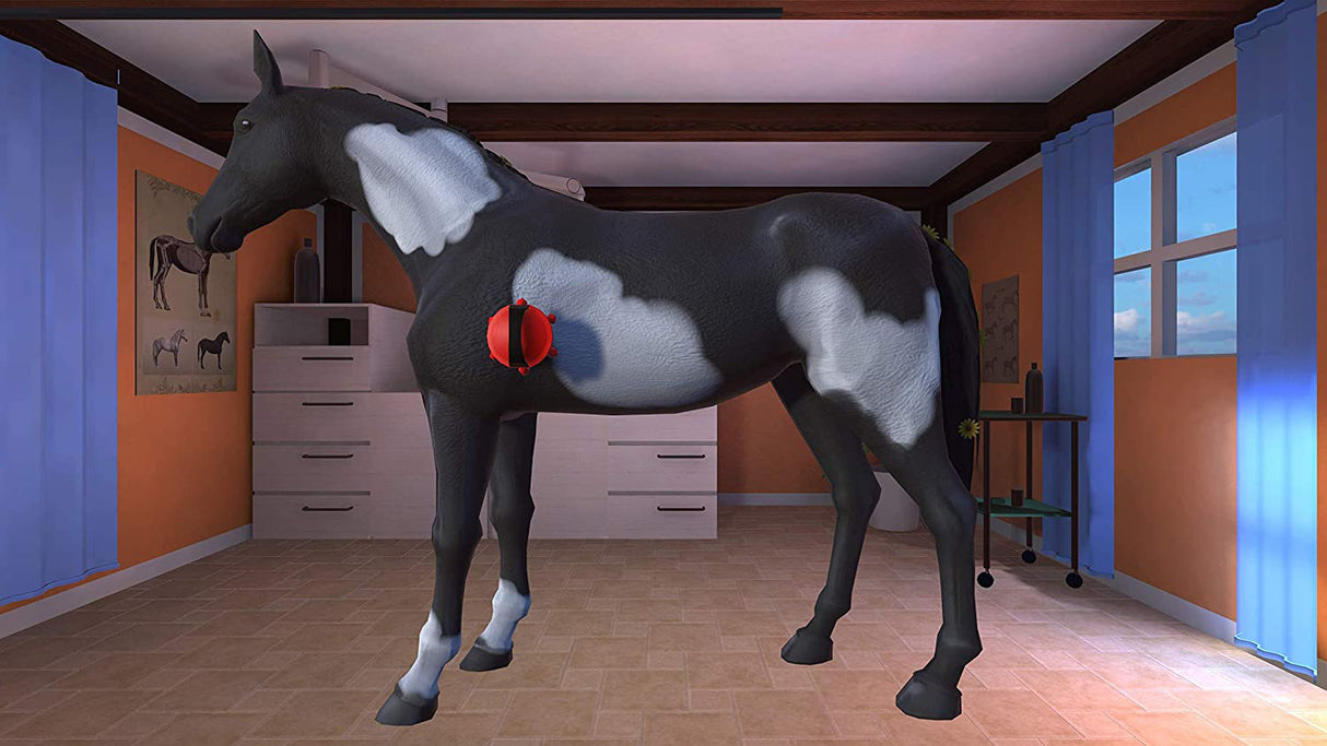 My Riding Stables 2 - Nintendo Switch - Video Games by Mindscape The Chelsea Gamer