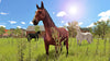 My Little Riding Champion - Video Games by Maximum Games Ltd (UK Stock Account) The Chelsea Gamer