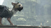 The Last Guardian - PlayStation 4 - Video Games by Sony The Chelsea Gamer