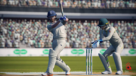 Cricket 19 - The Official Game of the 2019 Ashes Championship - Video Games by Maximum Games Ltd (UK Stock Account) The Chelsea Gamer