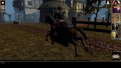 Neverwinter Nights Enhanced Edition - Video Games by Skybound Games The Chelsea Gamer