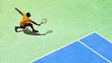 Tennis World Tour - Legends Edition - PC - Video Games by Maximum Games Ltd (UK Stock Account) The Chelsea Gamer