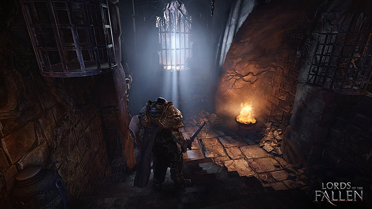 Lords of the Fallen Complete Edition - Video Games by City Interactive Games The Chelsea Gamer