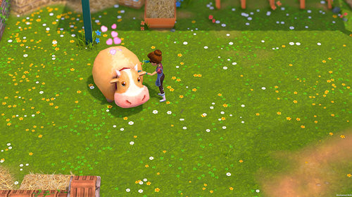 My Universe: Green Adventure - Farmer Friends - Nintendo Switch - Video Games by Maximum Games Ltd (UK Stock Account) The Chelsea Gamer