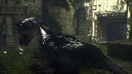 The Last Guardian - PlayStation 4 - Video Games by Sony The Chelsea Gamer