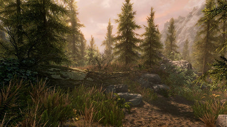 The Elder Scrolls V: Skyrim Special Edition Xbox One - Video Games by Bethesda The Chelsea Gamer