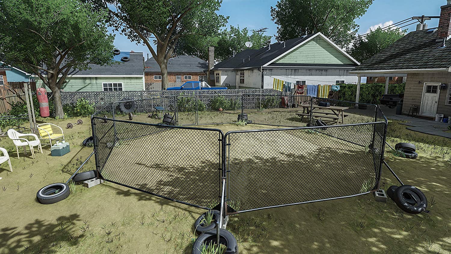 UFC 4 - Video Games by Electronic Arts The Chelsea Gamer