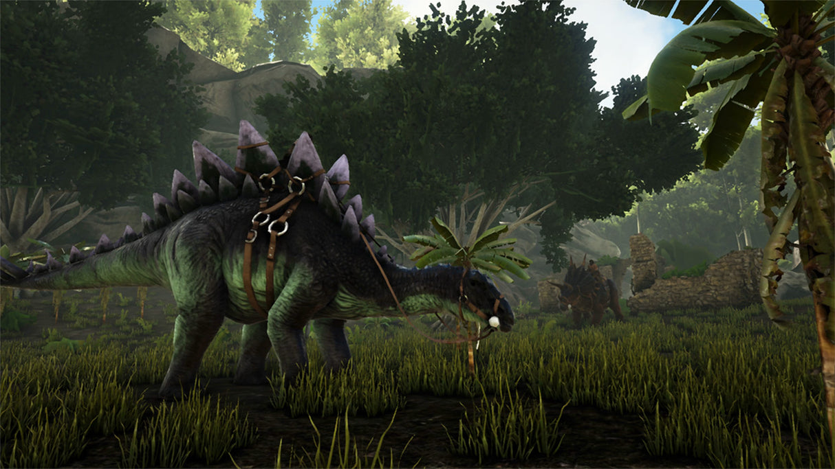 ARK Survival Evolved - Nintendo Switch - Video Games by Wildcard The Chelsea Gamer