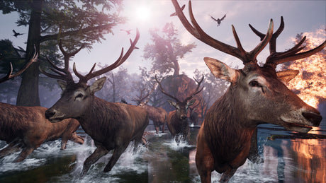 Away: The Survival Series - PlayStation 4 - Video Games by Perpetual Europe The Chelsea Gamer