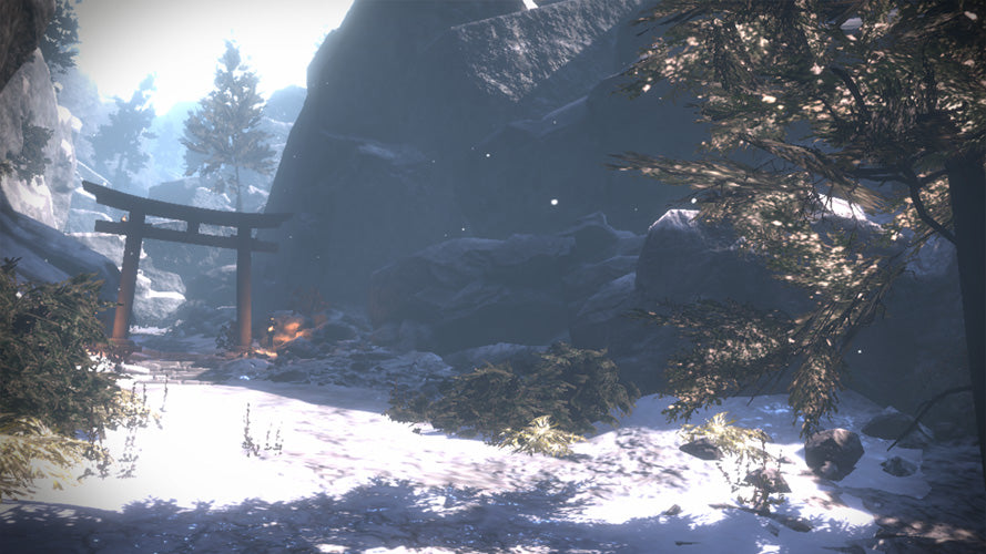 Arashi Castles of Sin - PlayStation VR - Video Games by Perpetual Europe The Chelsea Gamer