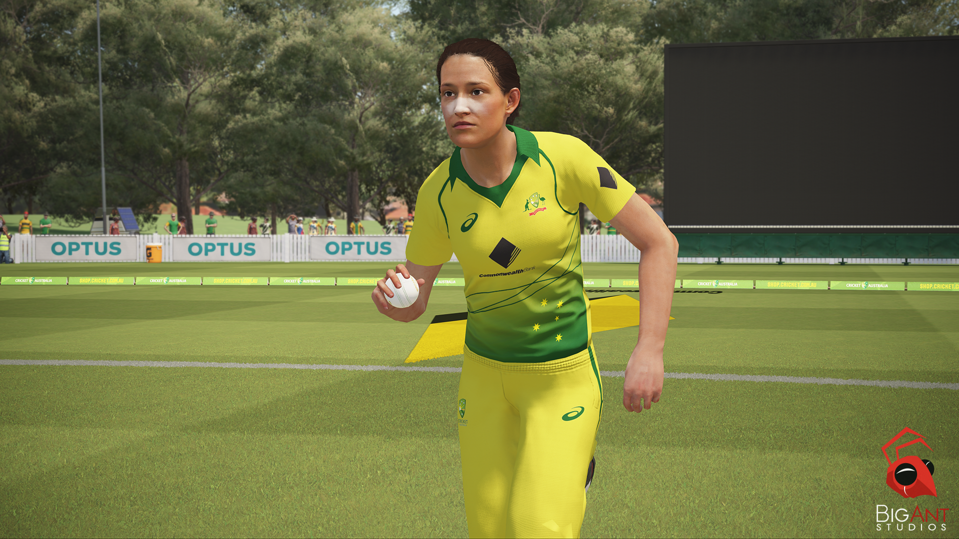 Ashes Cricket - Video Games by BigAnt The Chelsea Gamer