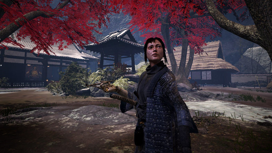 Arashi Castles of Sin - PlayStation VR - Video Games by Perpetual Europe The Chelsea Gamer