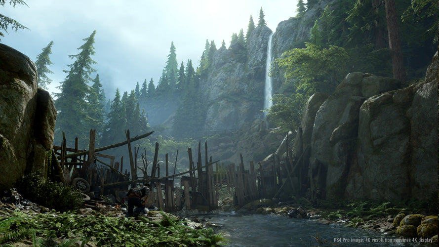 Days Gone - PlayStation 4 - Video Games by Sony The Chelsea Gamer