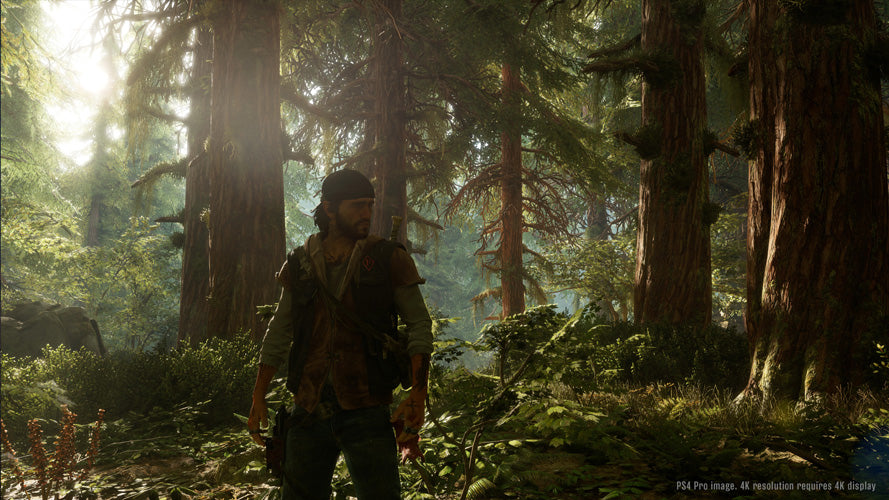 Days Gone - PlayStation 4 - Video Games by Sony The Chelsea Gamer