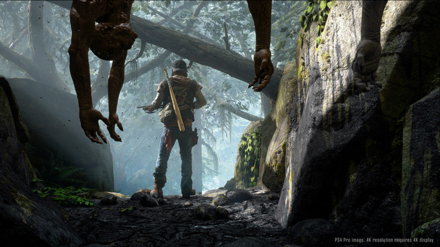 Days Gone - PlayStation 4 - Video Games by Sony The Chelsea Gamer