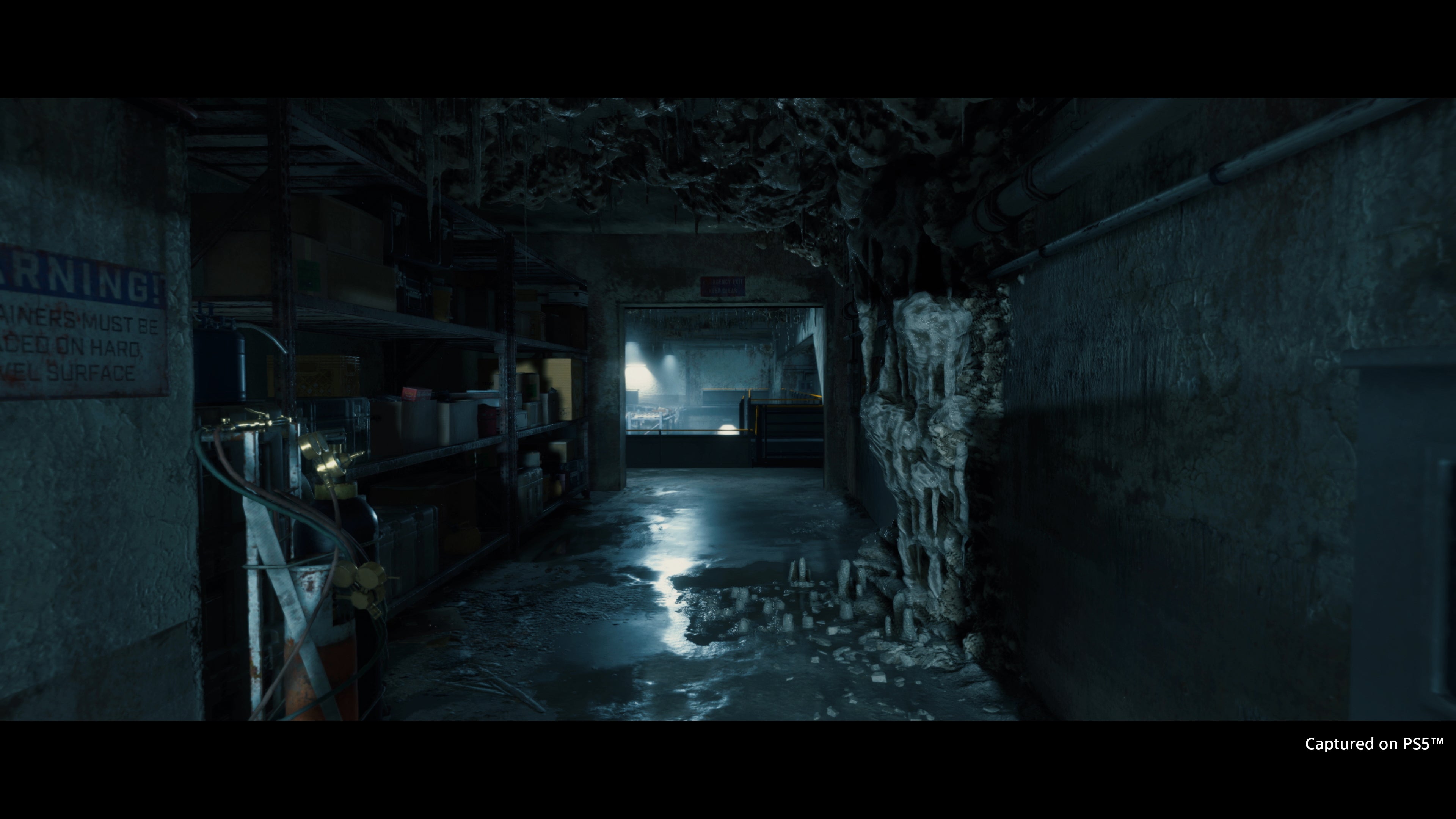 Death Stranding Director's ™ Cut - PlayStation 5 - Video Games by Sony The Chelsea Gamer