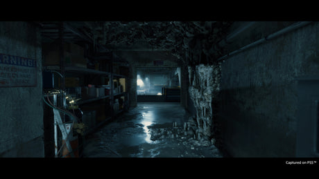 Death Stranding Director's ™ Cut - PlayStation 5 - Video Games by Sony The Chelsea Gamer