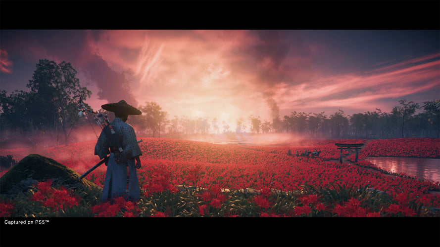 Ghost of Tsushima™ Director’s Cut - PlayStation 4 - Video Games by Sony The Chelsea Gamer