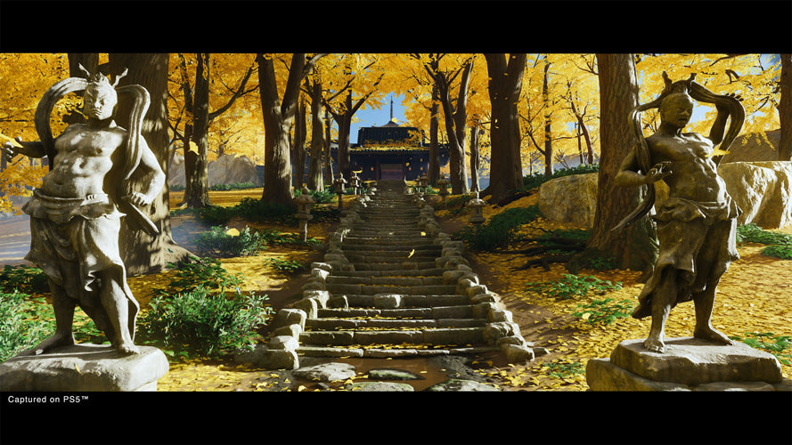 Ghost of Tsushima™ Director’s Cut - PlayStation 5 - Video Games by Sony The Chelsea Gamer