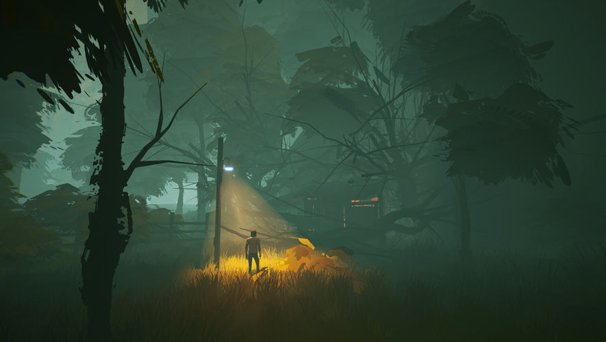 Where the Heart Leads - PlayStation 4 - Video Games by Perpetual Europe The Chelsea Gamer