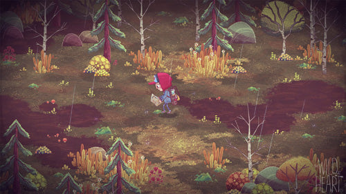 The Wild at Heart - PlayStation 4 - Video Games by U&I The Chelsea Gamer