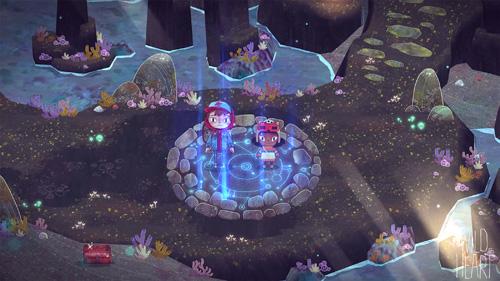 The Wild at Heart - Nintendo Switch - Video Games by U&I The Chelsea Gamer