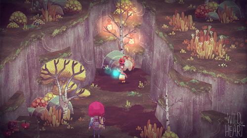 The Wild at Heart - Nintendo Switch - Video Games by U&I The Chelsea Gamer