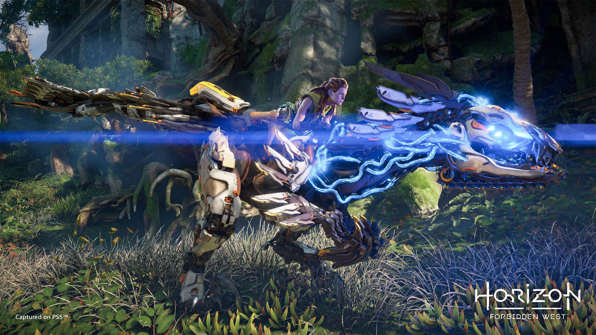 Horizon Forbidden West - PlayStation 4 - Video Games by Sony The Chelsea Gamer