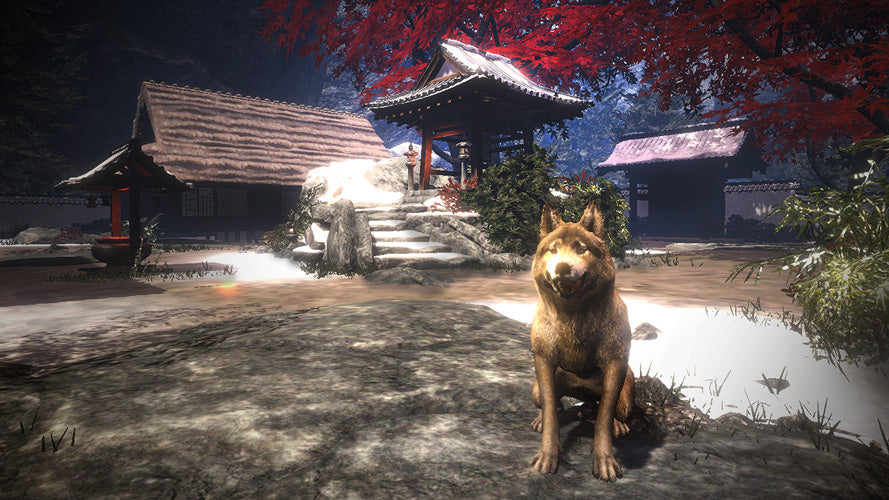 Arashi Castles of Sin - PlayStation VR - Video Games by Perpetual Europe The Chelsea Gamer